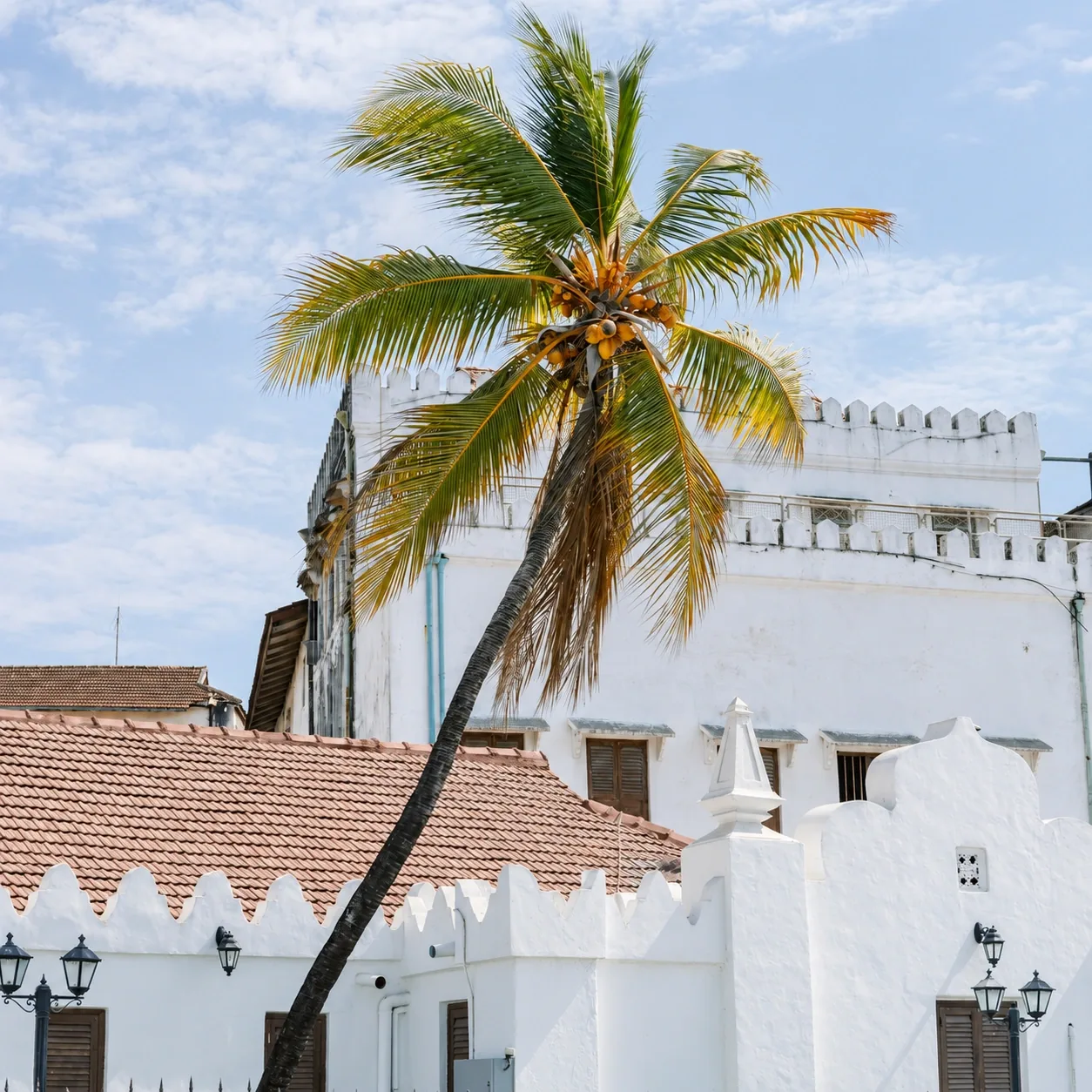 Palm tree above a white historic building in Stone Town